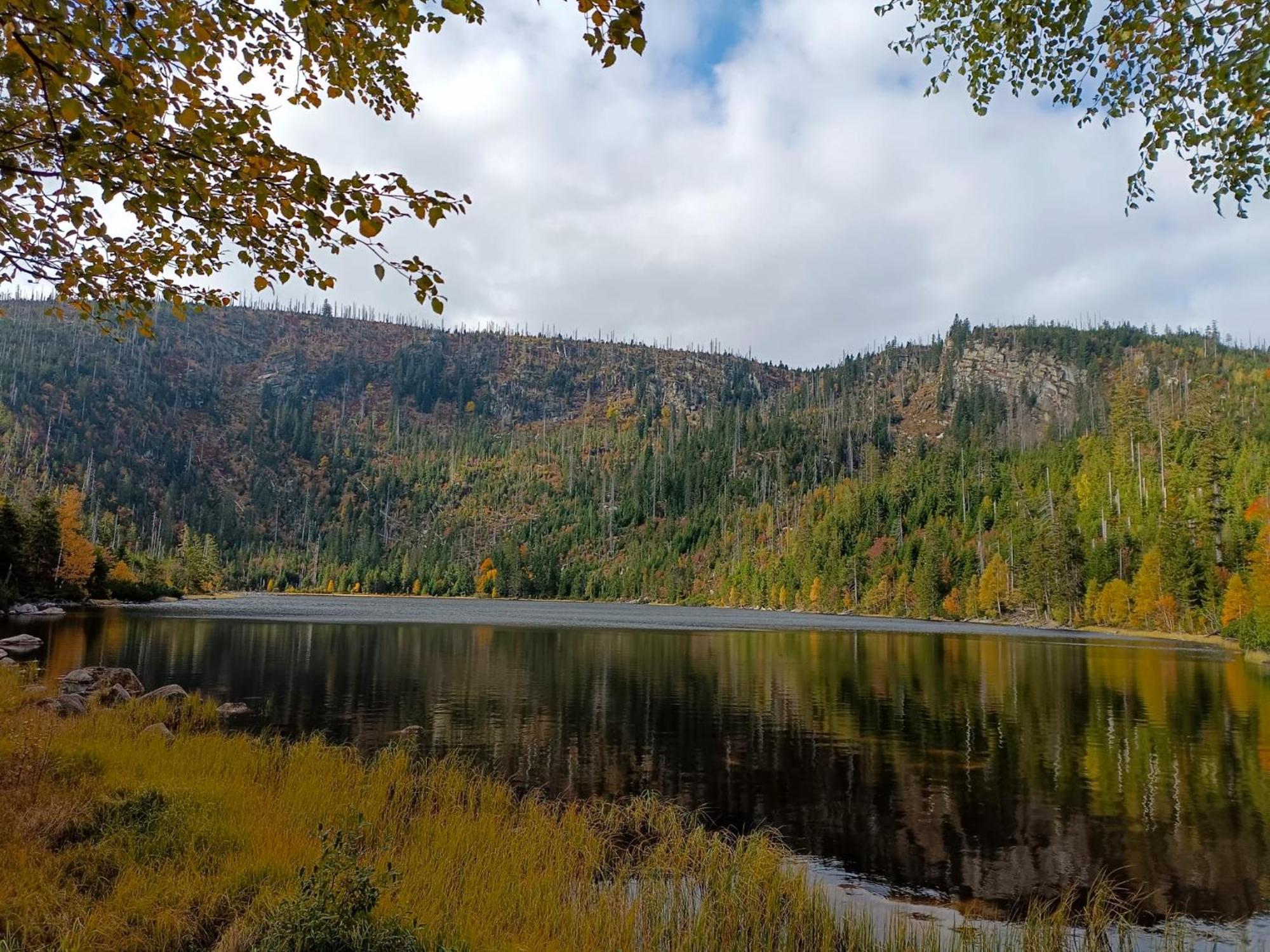 Vila Domecek Se Sluncem Nová Pec Exteriér fotografie