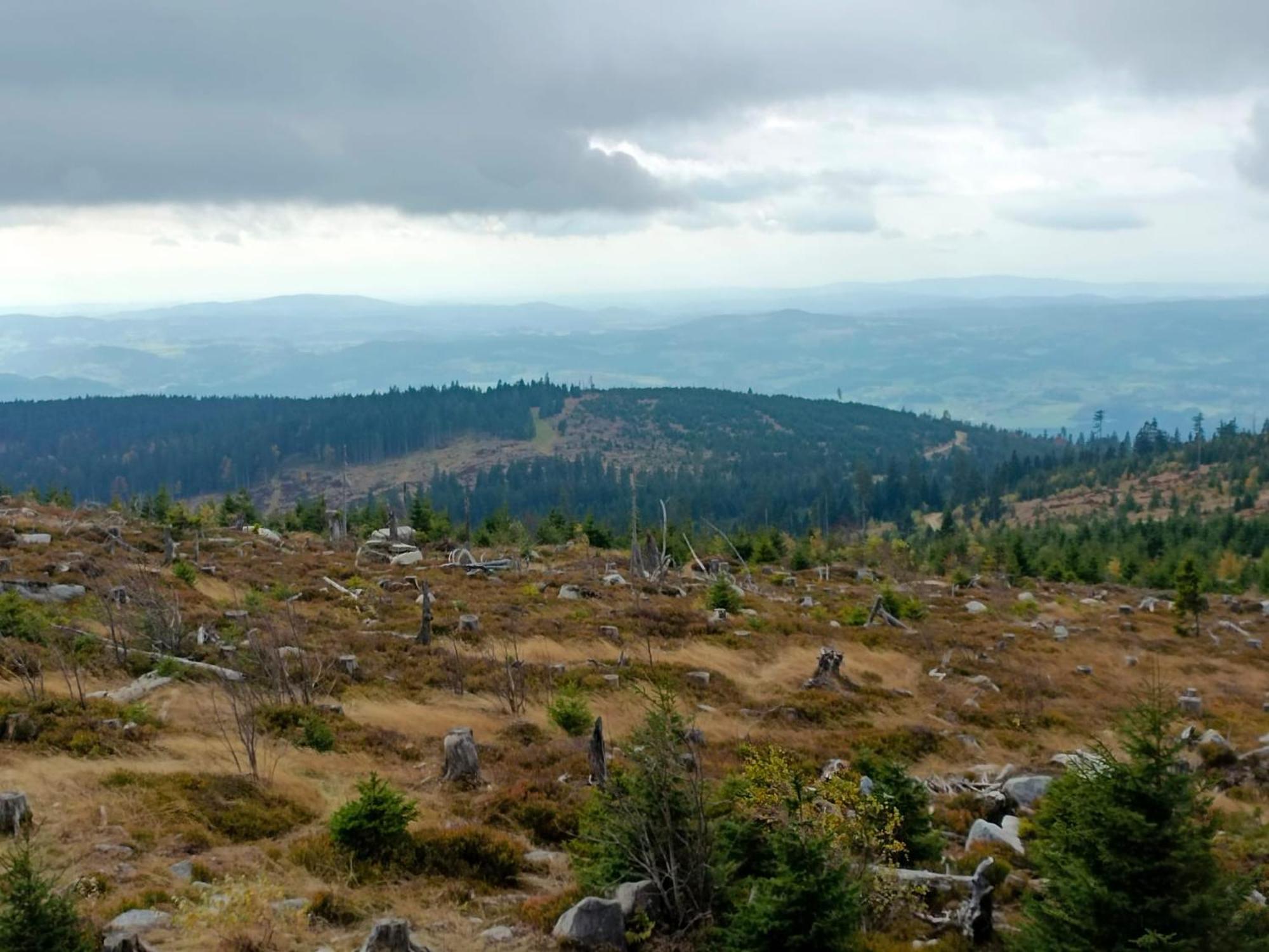 Vila Domecek Se Sluncem Nová Pec Exteriér fotografie